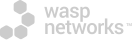Wasp Networks